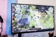 LG UltraFine Display Ergo 32UN880 32-inch 4K Monitor - 1