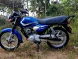 TVS HLX 125 2025 Blue - 2
