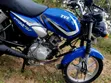 TVS HLX 125 2025 Blue - 3