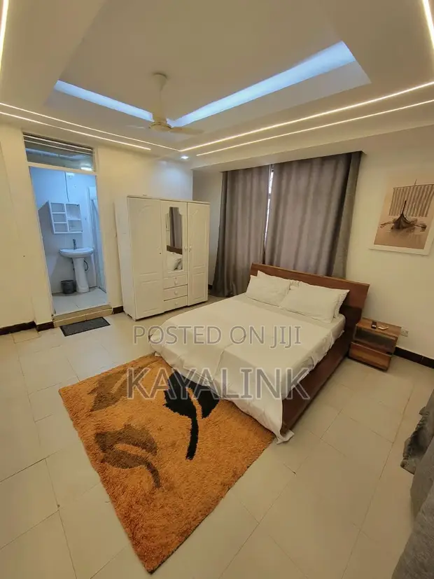 Furnished 2 Bedroom Apartment for Rent in Msasani - 1