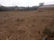Industrial Plot for Sale - Kibwabwa, Iringa Mjini - 3