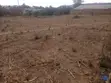 Industrial Plot for Sale - Kibwabwa, Iringa Mjini - 4