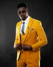 3 Piece Slim Fit Suit - Double Breasted - 2