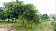 Land for Sale - Chidachi North, Dodoma - 1