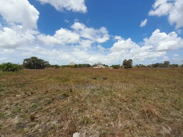 Land for Sale in Kigamboni Kisarawe 2 - 1
