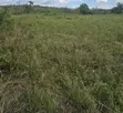 120 Acres Industrial Land for Sale, Kibaha - 2