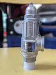 Safety Valve DN20 (3/4 inch) - 2