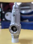 Safety Valve DN20 (3/4 inch) - 3