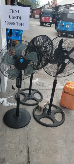 Dolphin Fan - Used, Clean