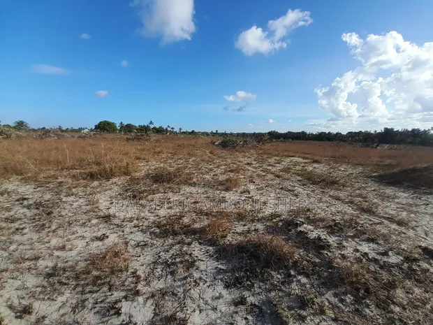 Land for Sale in Kigamboni Kisarawe 2 - 1