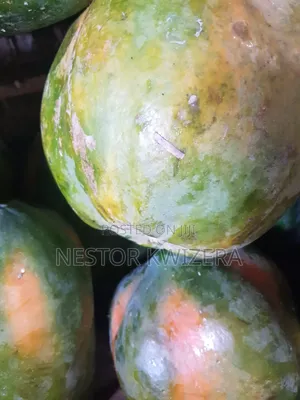 Fresh Chinese Papayas