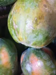 Fresh Chinese Papayas - 1