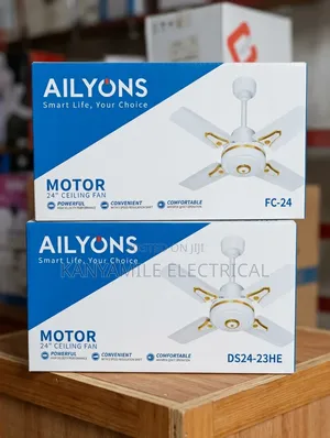 B-P Ceiling Fans (2 pcs) - 80,000 TZS