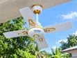 B-P Ceiling Fans (2 pcs) - 80,000 TZS - 2