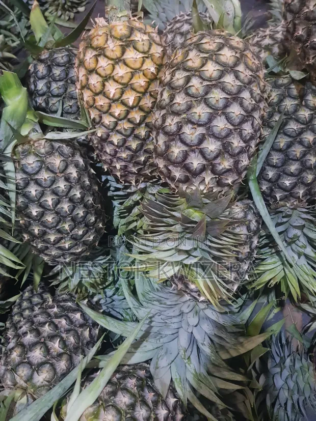 Fresh Pineapples - Buguruni Market - 1