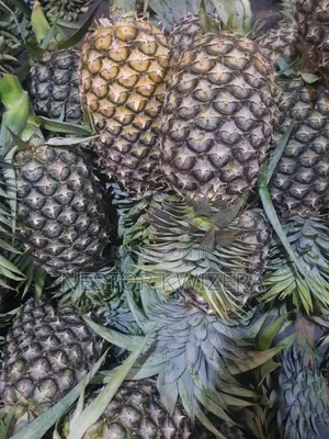 Fresh Pineapples - Buguruni Market