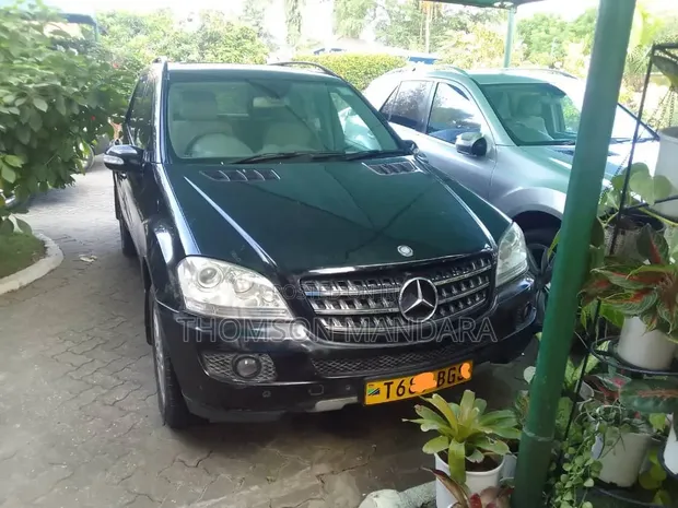 Mercedes-Benz M Class 2006 Black - 1