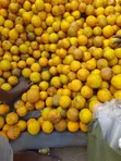 Machungwa ya Tanga - 2