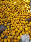 Machungwa ya Tanga - 3