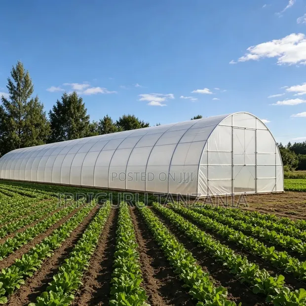 Shade Polythene Cover - 1