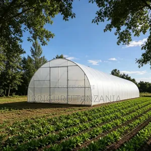 White Greenhouse Plastic Film (200 Micron)