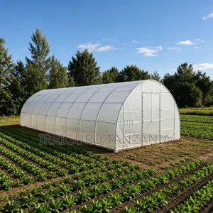 Agricultural Polythene Film for Greenhouses