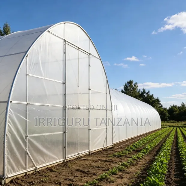 Plastic ya Kuzuia Ukungu kwa Greenhouses - 1