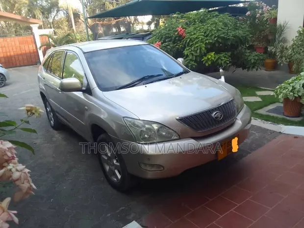 Toyota Harrier 2006 Beige - 1