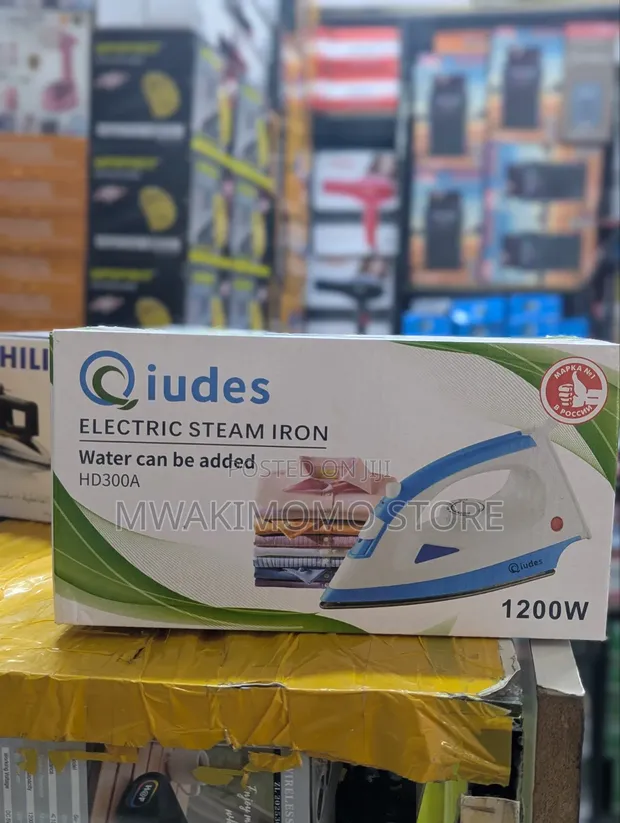 Qiudes HD300A Electric Steam Iron - 1