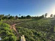 Industrial Plot Mkuranga, 3 Acres - 1