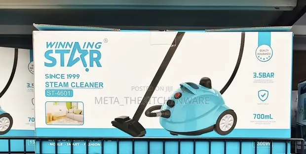 Winning Star Steam Cleaner ST-4601 - 1