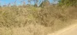 12 Acres Land for Sale in Kongowe Kibaha, Pwani - 4