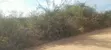 12 Acres Land for Sale in Kongowe Kibaha, Pwani - 5