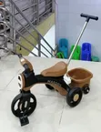 Kids Tricycle - Brand New - 2