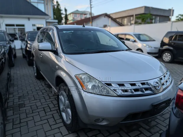 Nissan Murano 2004 Silver - 1