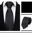 Arvelon Men's Neckties - 5