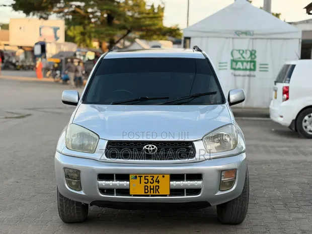 Toyota RAV4 2005 Silver - 1