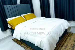 Furnished 3-Bedroom Bedsitter in Shuya Ushindi, Mikocheni for Rent