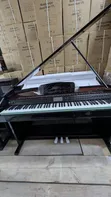 Nafex BIG Piano Mpya - 2,450,000 TZS (Usafiri Bure) - 2