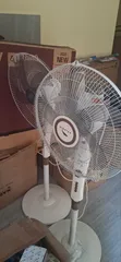 Dolphin Fans with Stands (2 Units) - 1