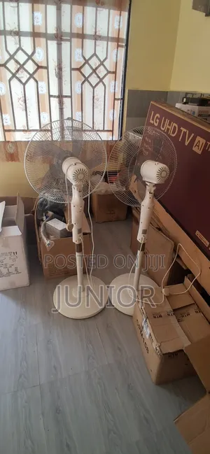 Dolphin Fans with Stands (2 Units)