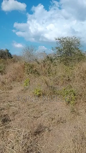 10 Hectares Land for Sale, Mbwewe