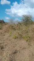 Shamba la Hekari 10 kwa Uuzaji, Mbwewe - 1