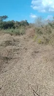 Shamba la Hekari 10 kwa Uuzaji, Mbwewe - 2