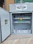176 Egg Capacity Automatic Incubator - 1