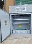 176 Egg Capacity Automatic Incubator - 4