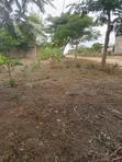 Industrial and Residential Land for Sale - 7 Hectares - 1