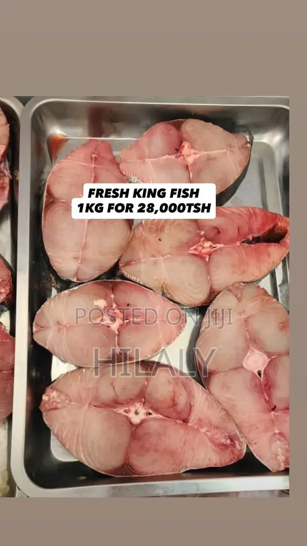 King Fish / Nguru - Samaki Safi wa Baharini - 1