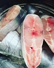 King Fish / Nguru - Samaki Safi wa Baharini - 2