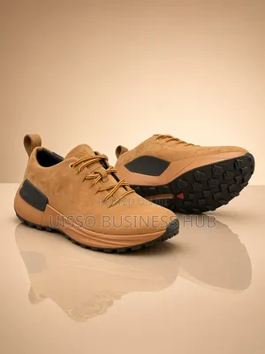 Viatu vya Ecco Boots